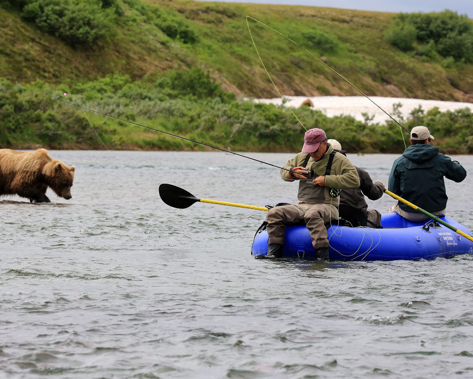 Fishermen and a bear in Bristol Bay